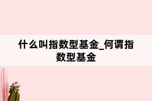 什么叫指数型基金_何谓指数型基金
