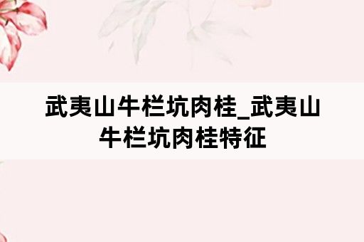 武夷山牛栏坑肉桂_武夷山牛栏坑肉桂特征