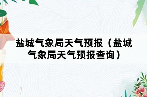 盐城气象局天气预报（盐城气象局天气预报查询）