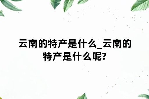 云南的特产是什么_云南的特产是什么呢?