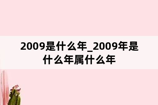 2009是什么年_2009年是什么年属什么年