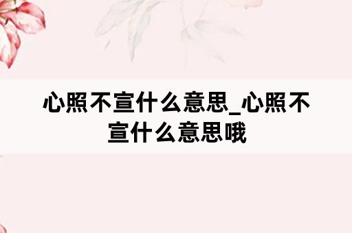 心照不宣什么意思_心照不宣什么意思哦
