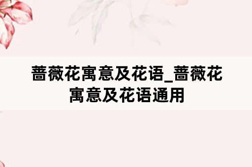 蔷薇花寓意及花语_蔷薇花寓意及花语通用