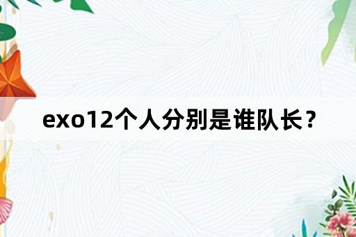 exo12个人分别是谁队长？