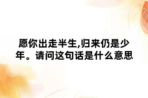 愿你出走半生,归来仍是少年。请问这句话是什么意思？