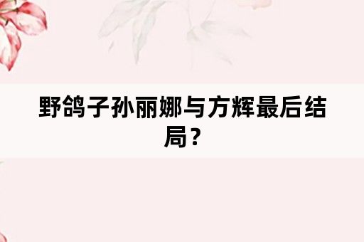 野鸽子孙丽娜与方辉最后结局？