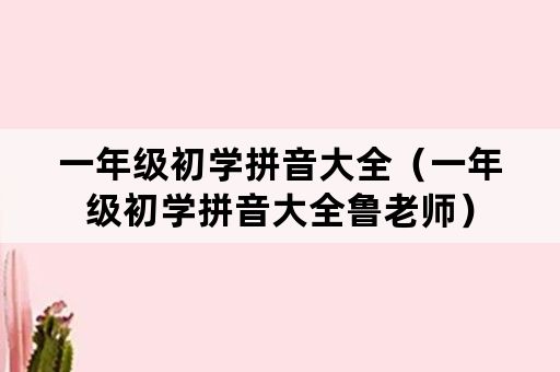 一年级初学拼音大全（一年级初学拼音大全鲁老师）