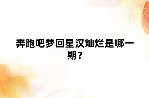 奔跑吧梦回星汉灿烂是哪一期？