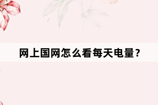 网上国网怎么看每天电量？