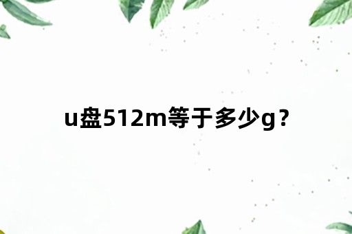 u盘512m等于多少g？