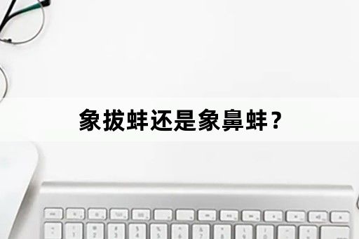 象拔蚌还是象鼻蚌？