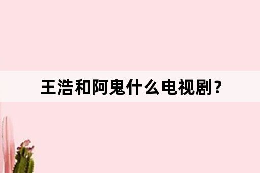 王浩和阿鬼什么电视剧？
