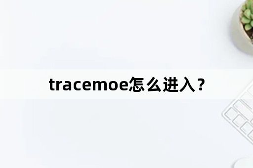 tracemoe怎么进入？