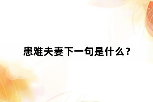 患难夫妻下一句是什么？