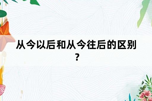 从今以后和从今往后的区别？