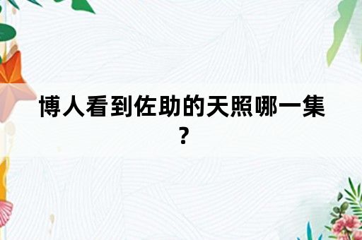 博人看到佐助的天照哪一集？
