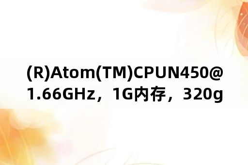(R)Atom(TM)CPUN450@1.66GHz，1G内存，320g硬盘？