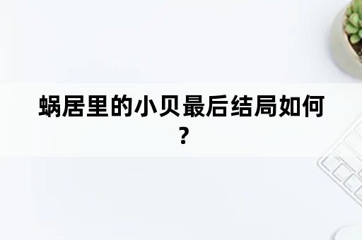 蜗居里的小贝最后结局如何？