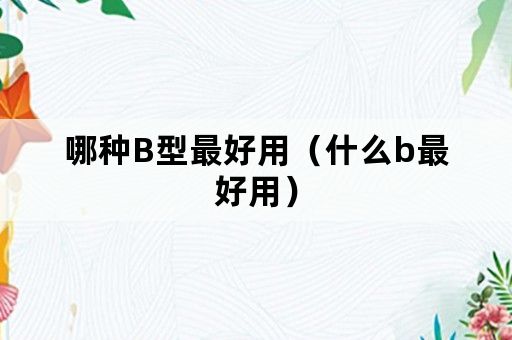 哪种B型最好用（什么b最好用）
