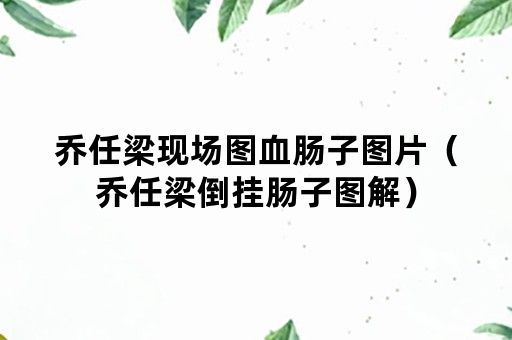 乔任梁现场图血肠子图片（乔任梁倒挂肠子图解）