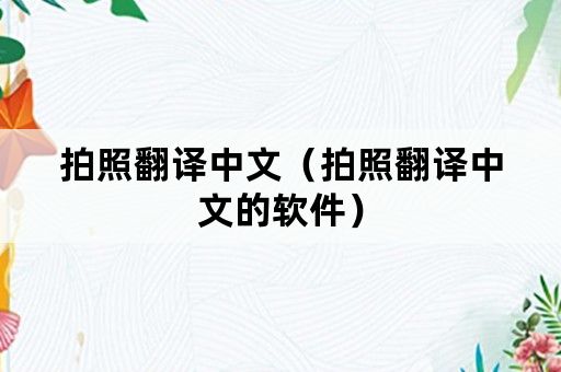 拍照翻译中文（拍照翻译中文的软件）