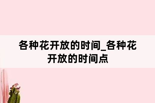 各种花开放的时间_各种花开放的时间点